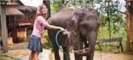 Elephant Riding and Kayaking